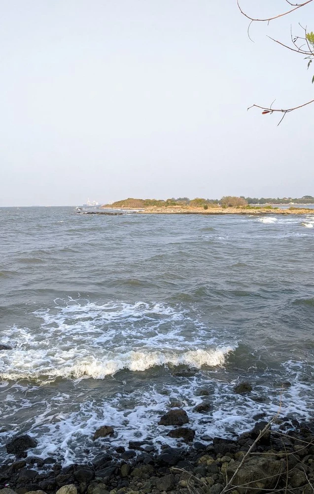 Zabila દ્વારા અપલોડ કરેલી છબી