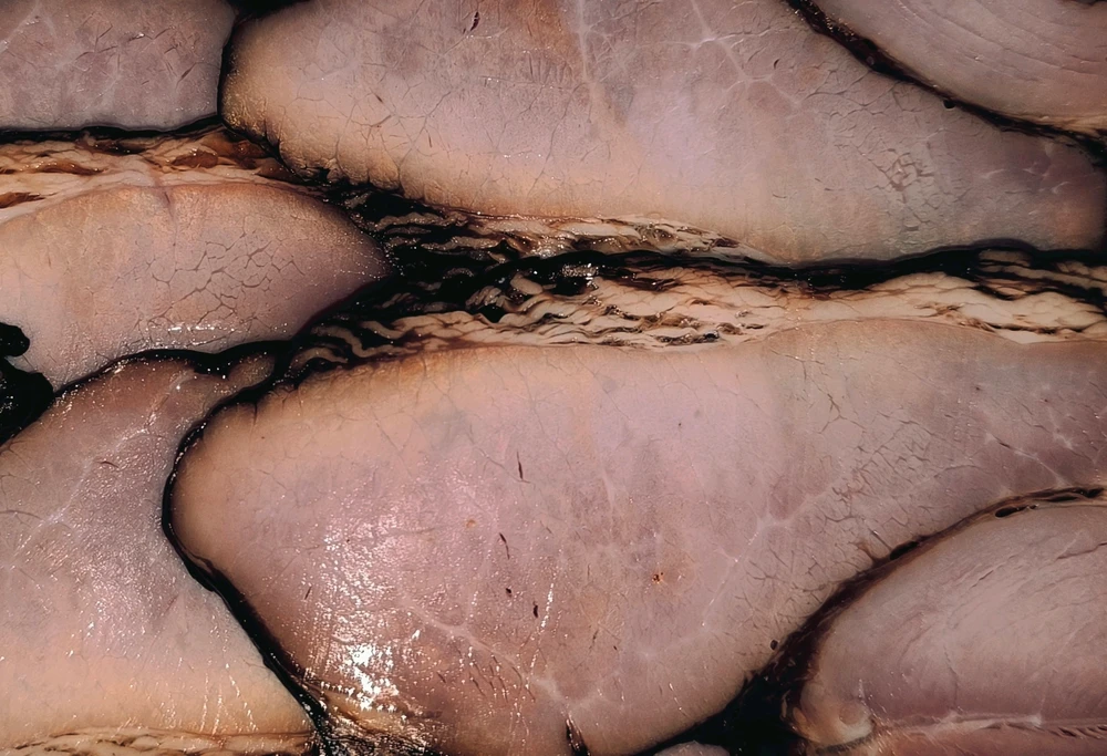 GIF ilipakiwa na Enn