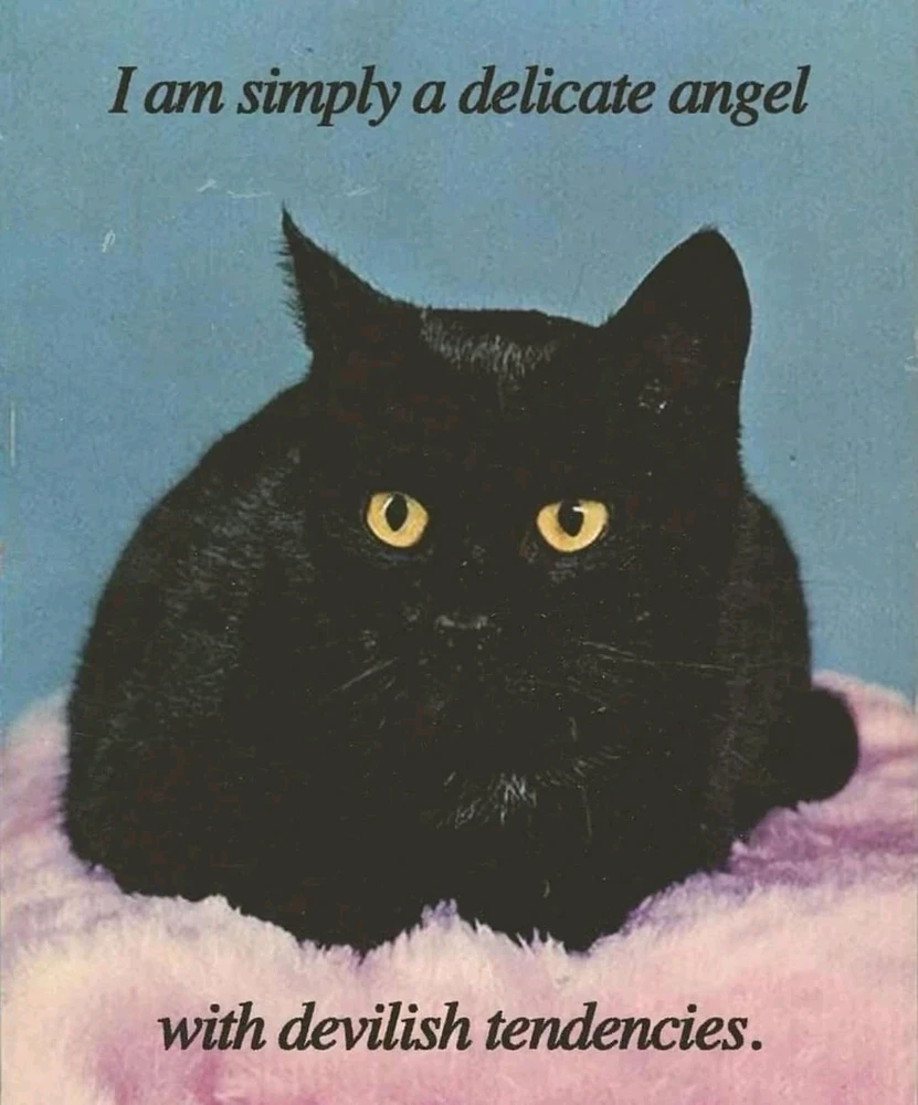 Image uploaded by Coyote