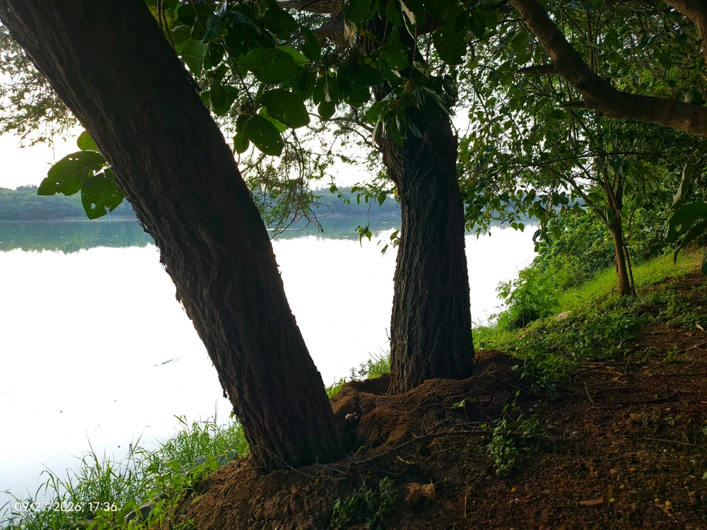 Image uploaded by Laksh