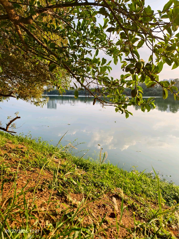 Image uploaded by Laksh