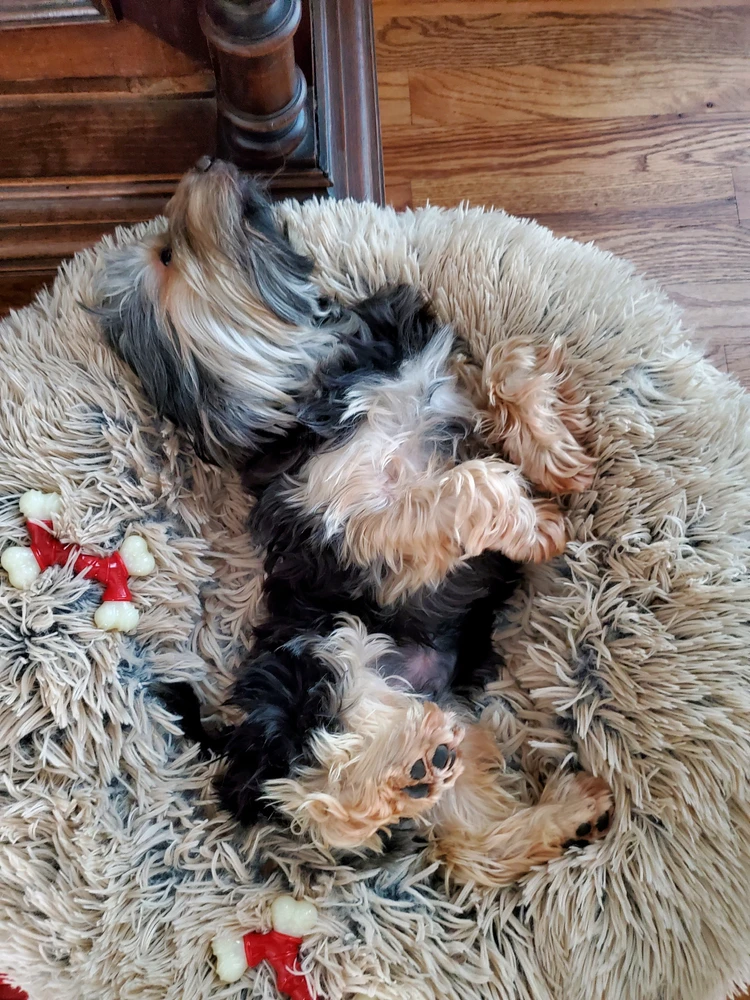 GIF uploaded by Liam