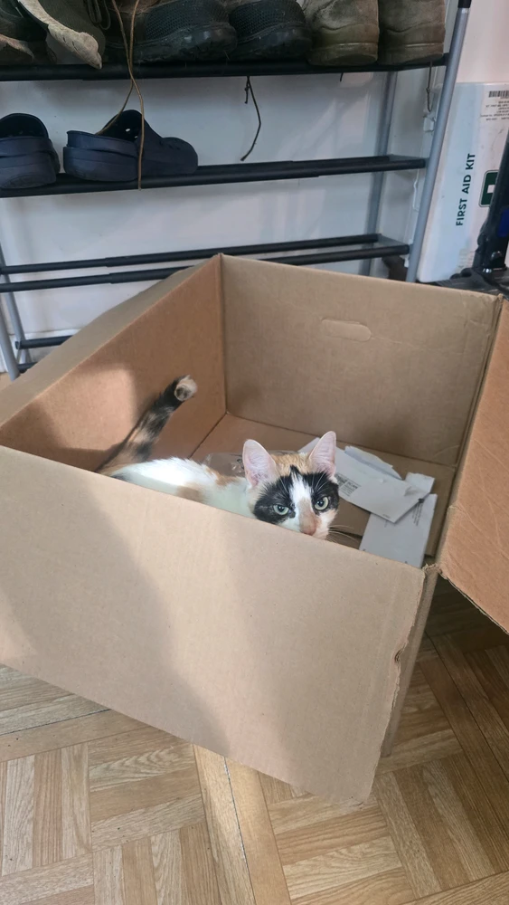GIF uploaded by Charles