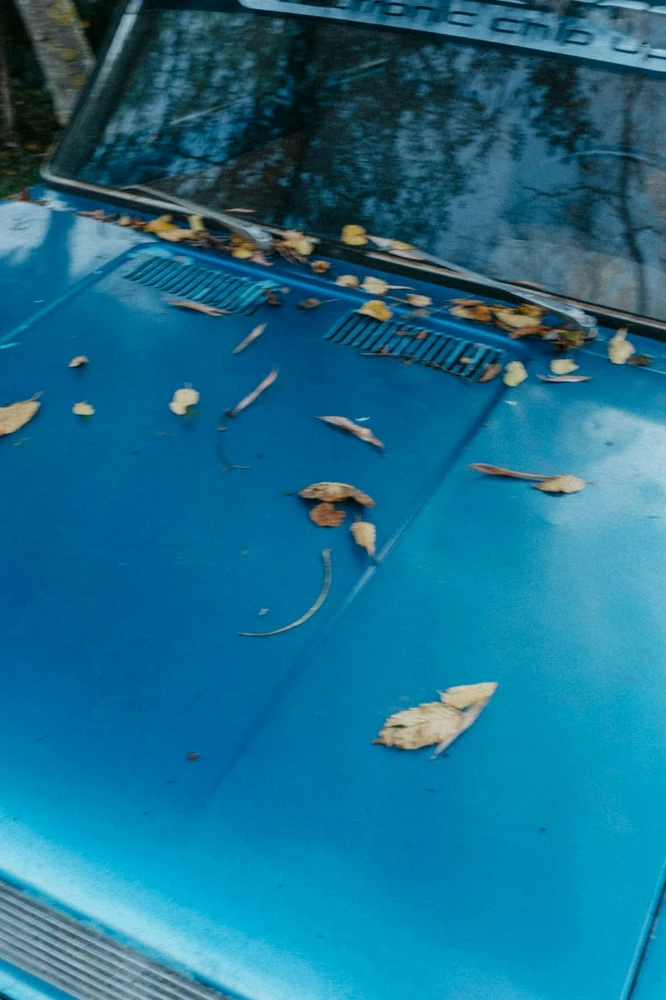 GIF yakaiswa naVeronika