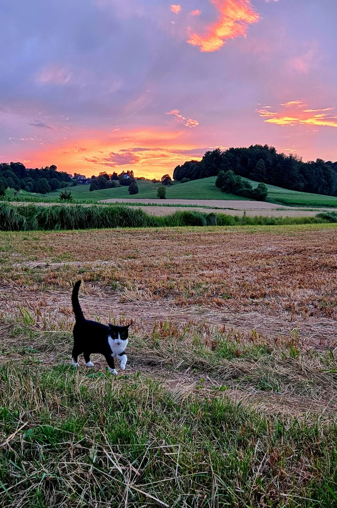 GIF uploaded by Edi