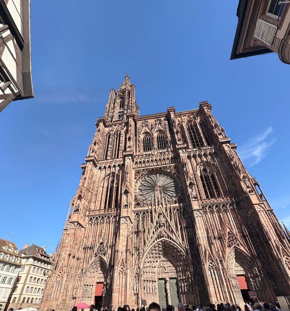 GIF uploaded by ℳℴ𝓇𝓃𝒾𝓃ℊ𝓈𝓉𝒶𝓇