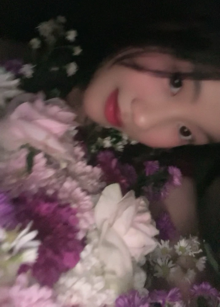 Pink roses