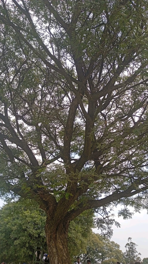 GIF uploaded by Deneil