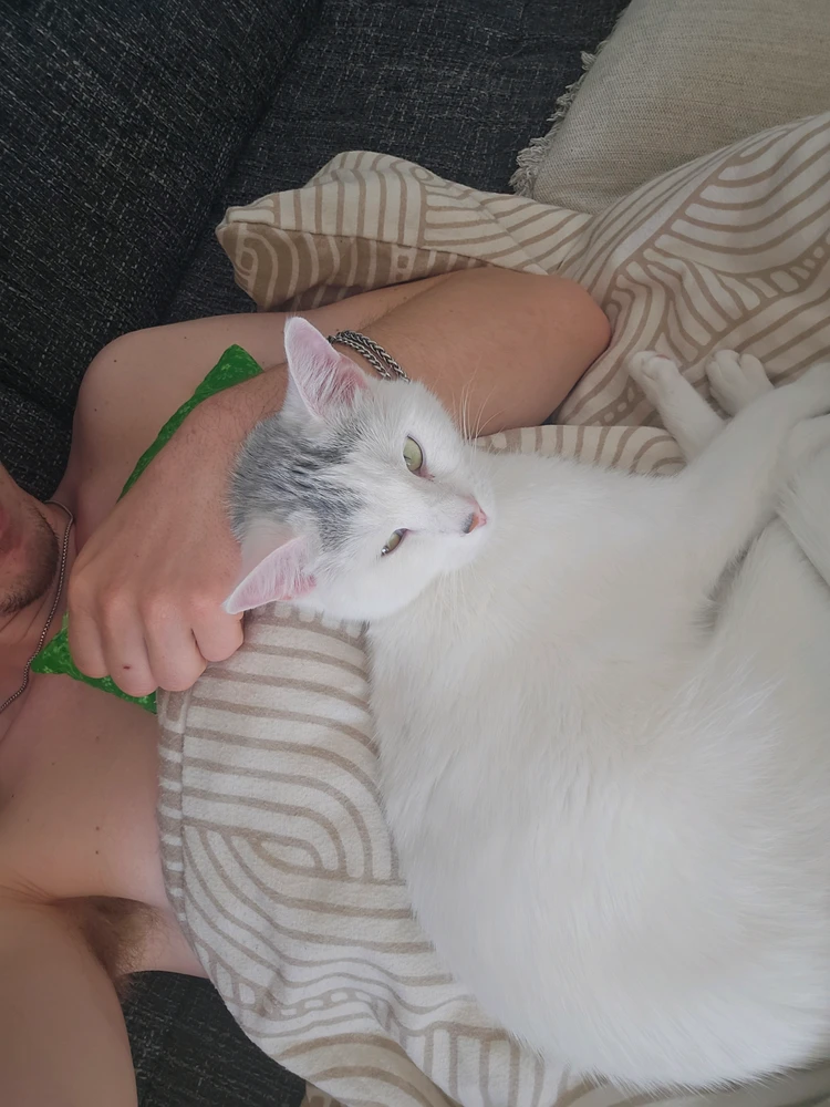 GIF uploaded by Elia