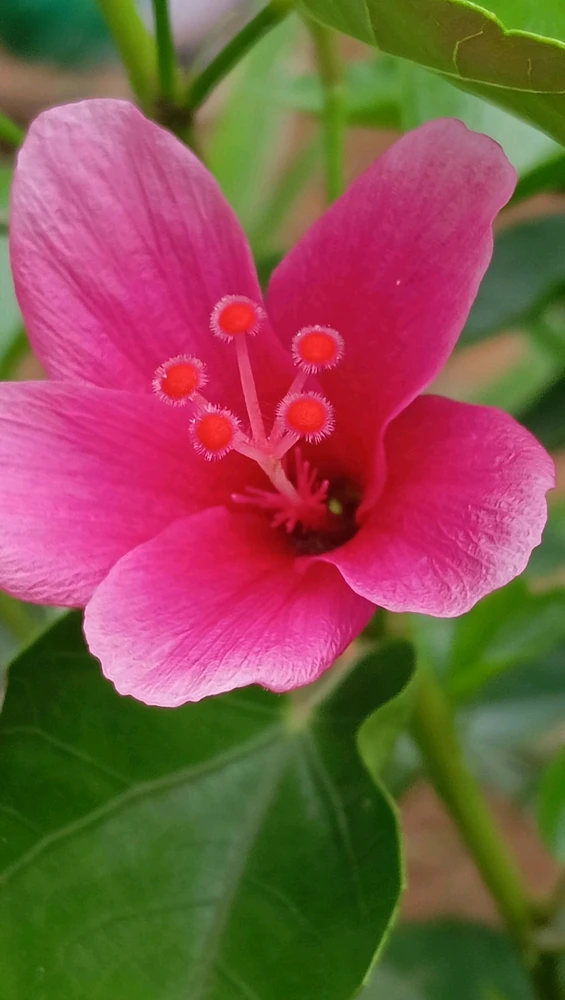 GIF uploaded by Lee