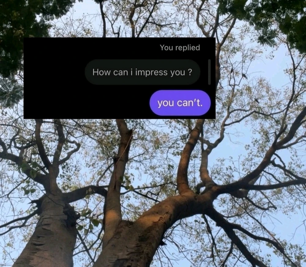 GIF uploaded by Mayra Knox