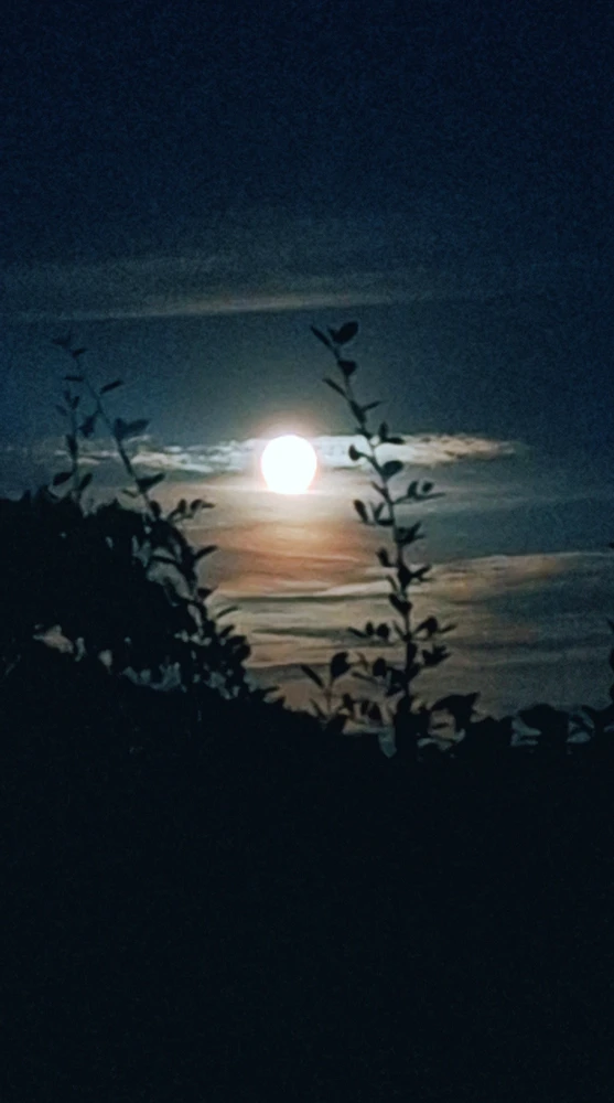 Full moon night