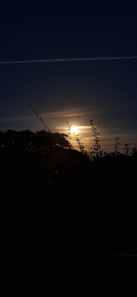 Beautiful night sky with a full moon