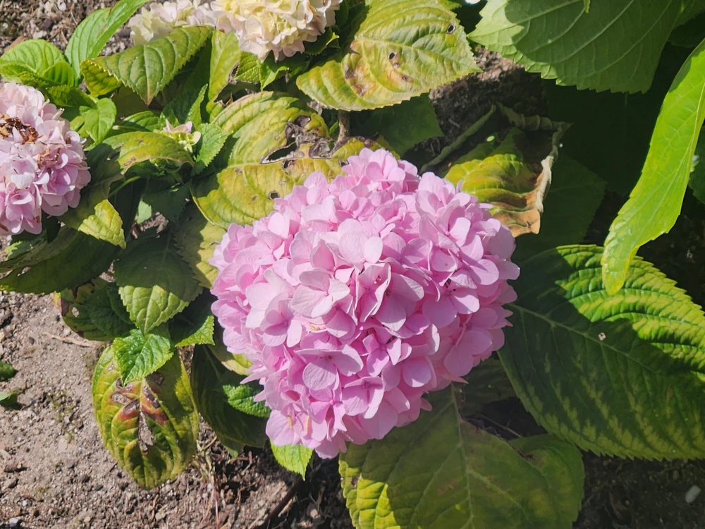 GIF uploaded by Elle