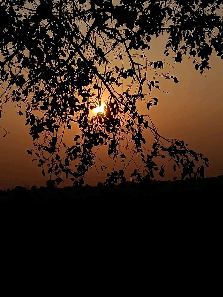 GIF uploaded by DEV
