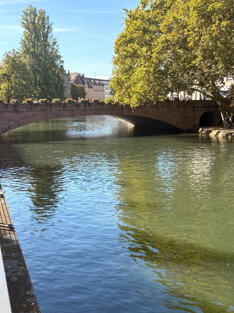 GIF uploaded by ℳℴ𝓇𝓃𝒾𝓃ℊ𝓈𝓉𝒶𝓇
