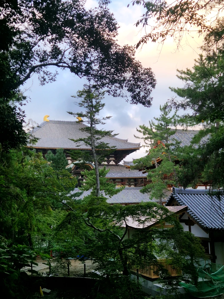 Hanad tomonidan yuklangan rasm