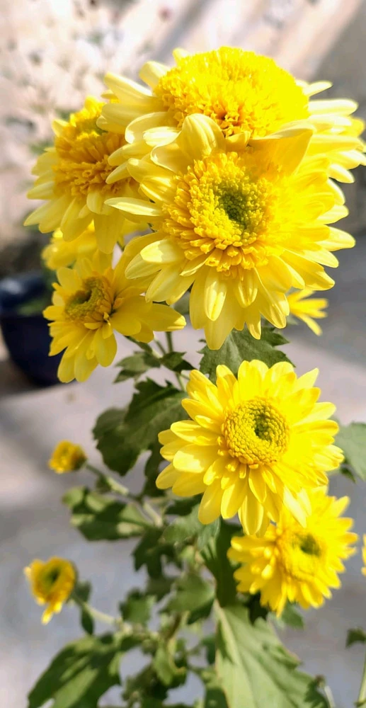 GIF uploaded by Abhi