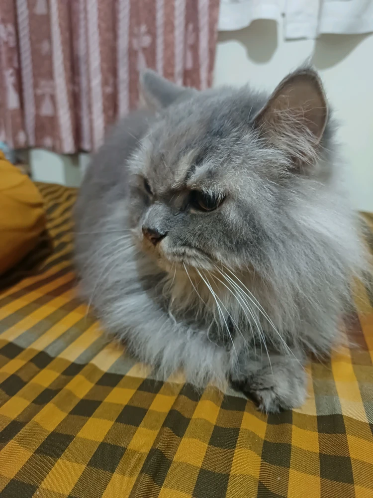 GIF įkėlė Nindy