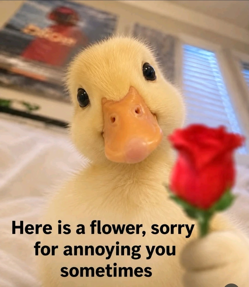 GIF uploaded by Kan Bunny(⁠ ⁠ꈍ⁠ᴗ⁠ꈍ⁠)カンイヤー