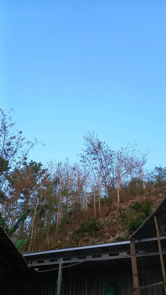 GIF pujat per Lakshmi Ariyiani