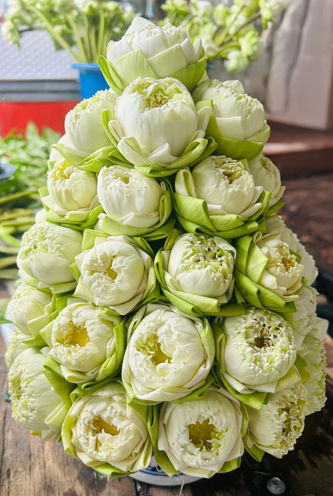 GIF uploaded by Kukkik