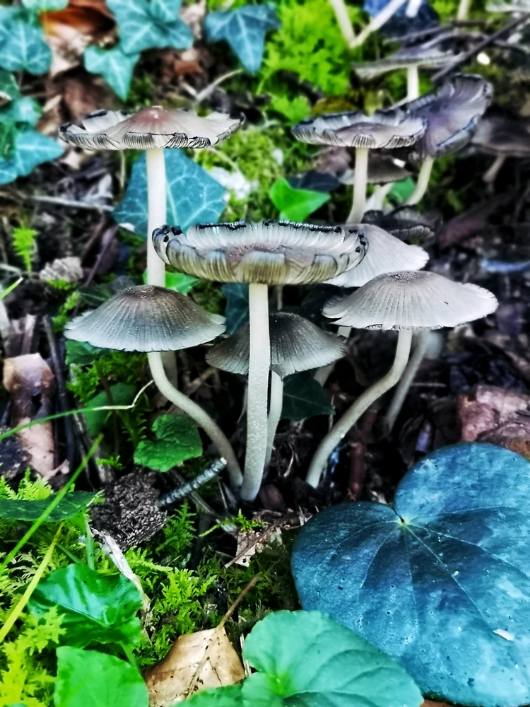 GIF uploaded by Lera