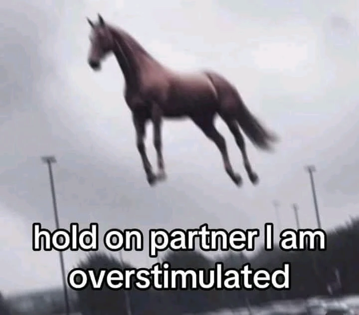 Àwòrán tí Coyote fi sí