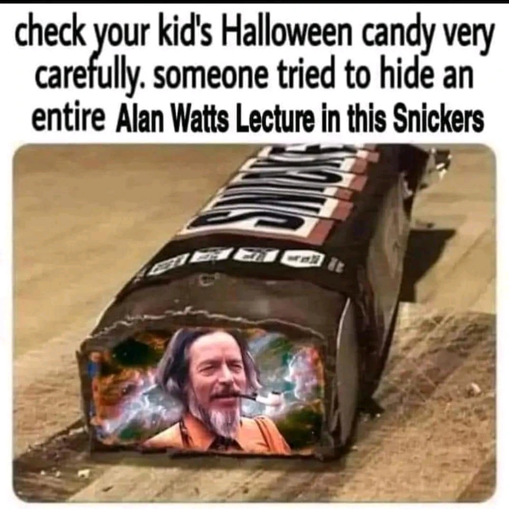 Àwòrán tí Coyote fi sí