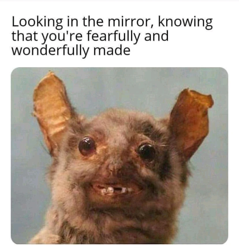 Àwòrán tí Coyote fi sí