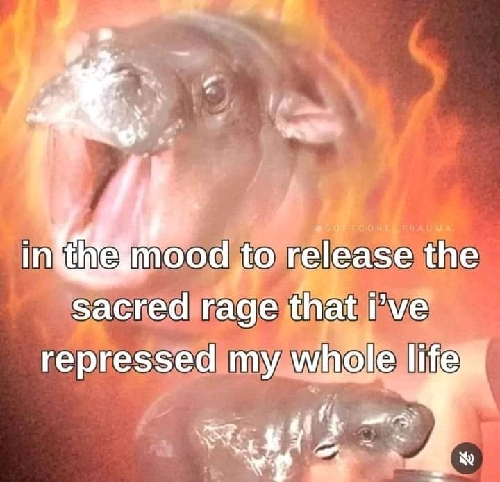 Àwòrán tí Coyote fi sí