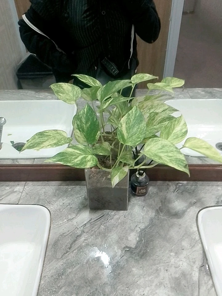 Image uploaded by Viona