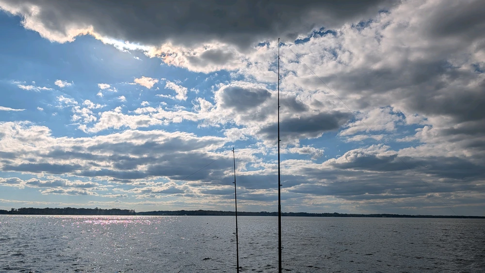 GIF uploaded by Paddy