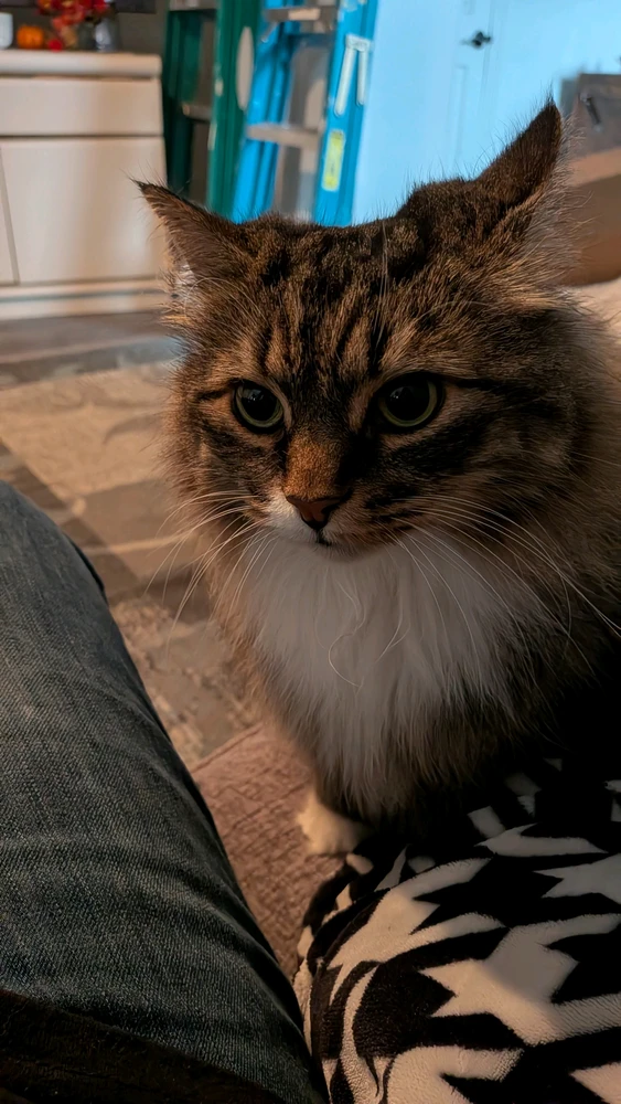 GIF uploaded by Cameron