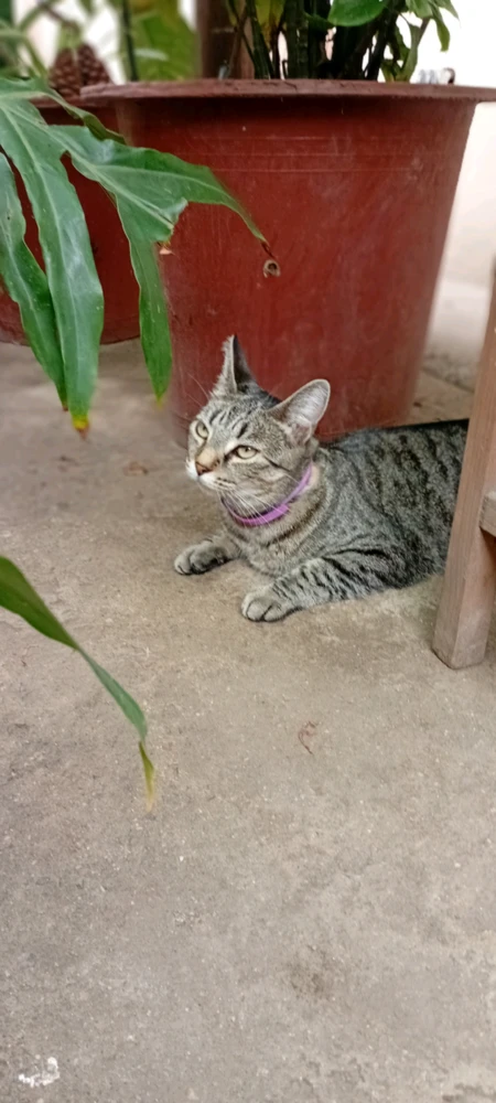 Gambar diunggah oleh Chachis Rodriguez
