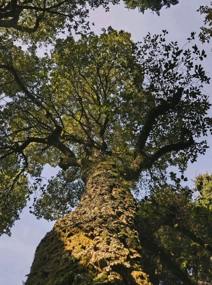 Image ajoutée par Maria