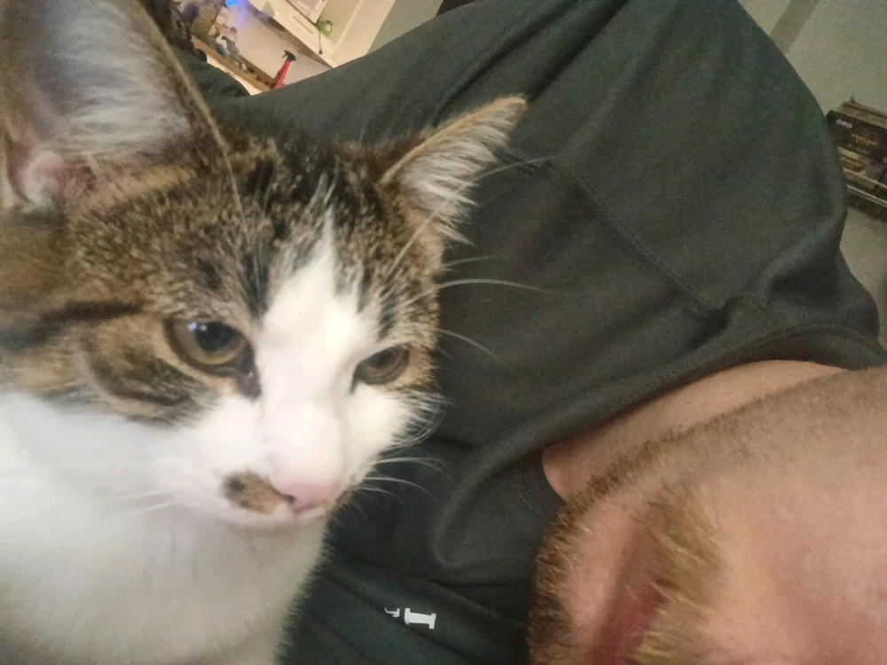 GIF įkėlė Jai