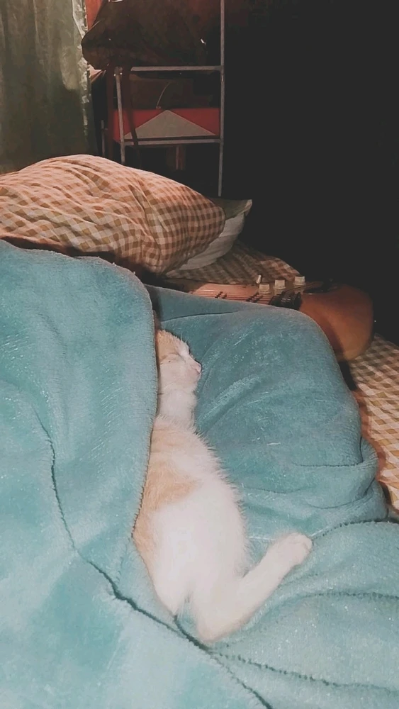 GIF uppladdad av Maya