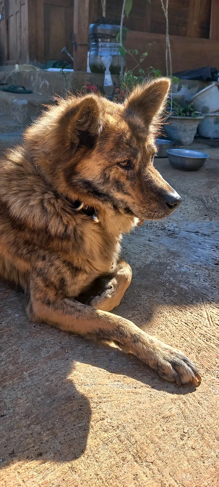 GIF uploaded by Lakshmi Ariyiani