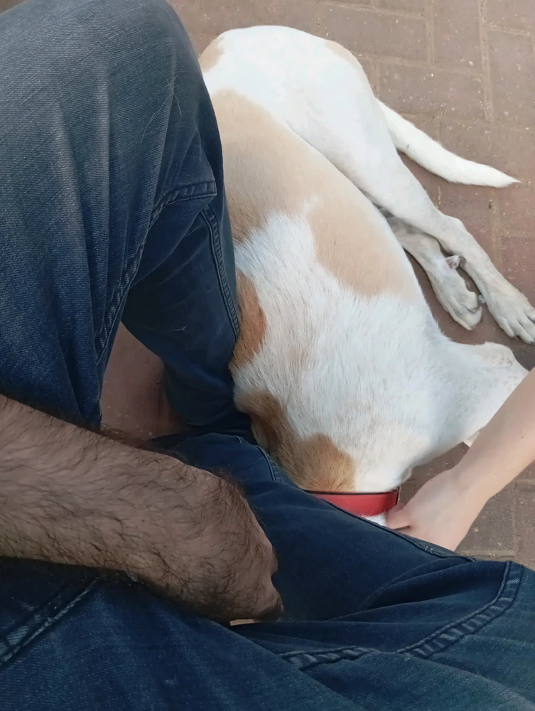 GIF eropgeluede vum Omri