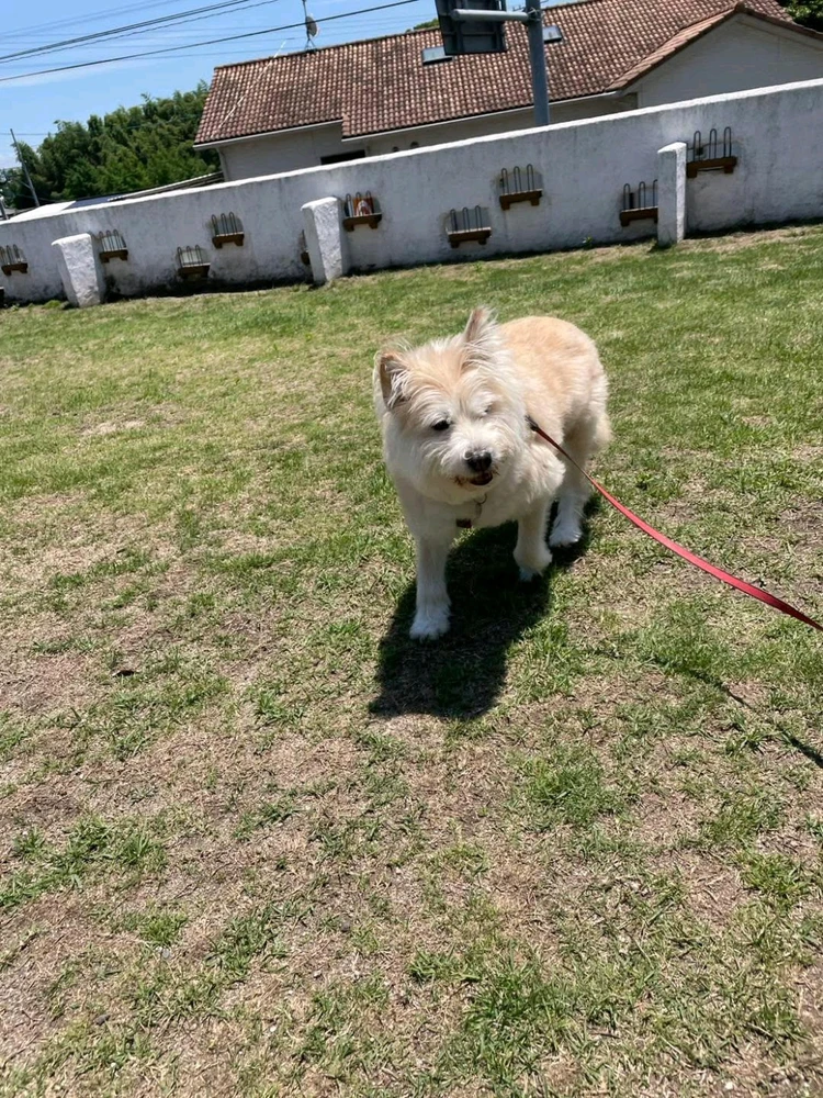 GIF yakaiswa nala