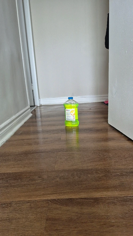 GIF Aekaterini tarapyndan ýüklenen