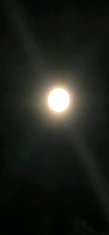Imaj Tor Helge mete a