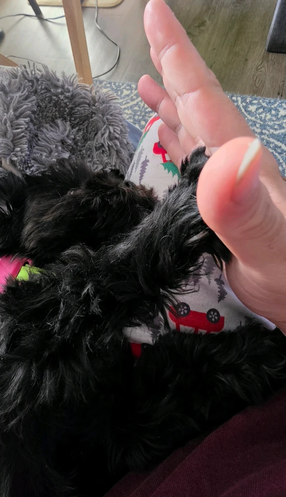 GIF uploaded by David