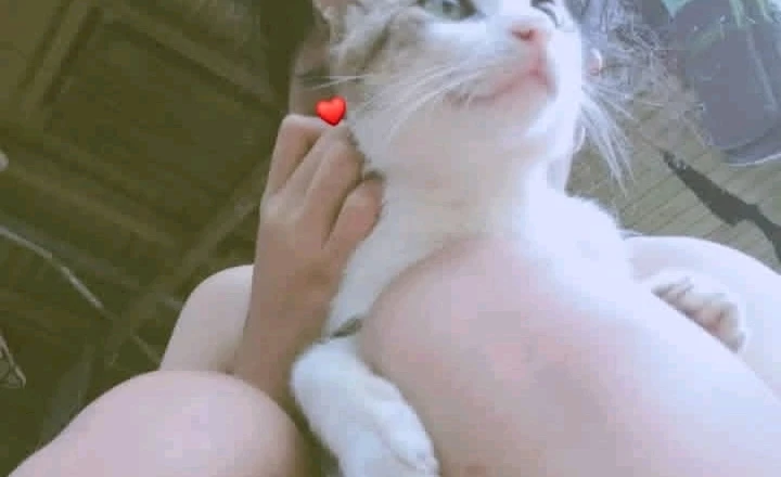 GIF încărcat de Collaine