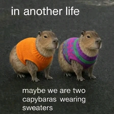 GIF wedi'i uwchlwytho gan ꨄ𝐃ꨄ