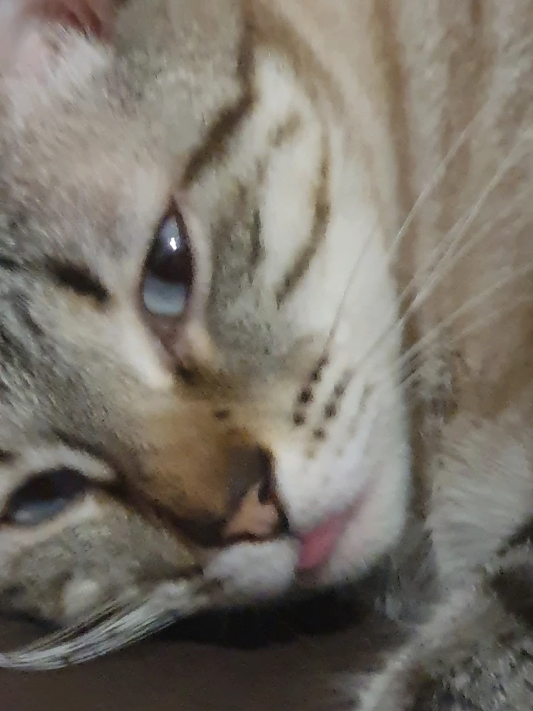 Serge විසින් GIF එක upload කරන ලදී
