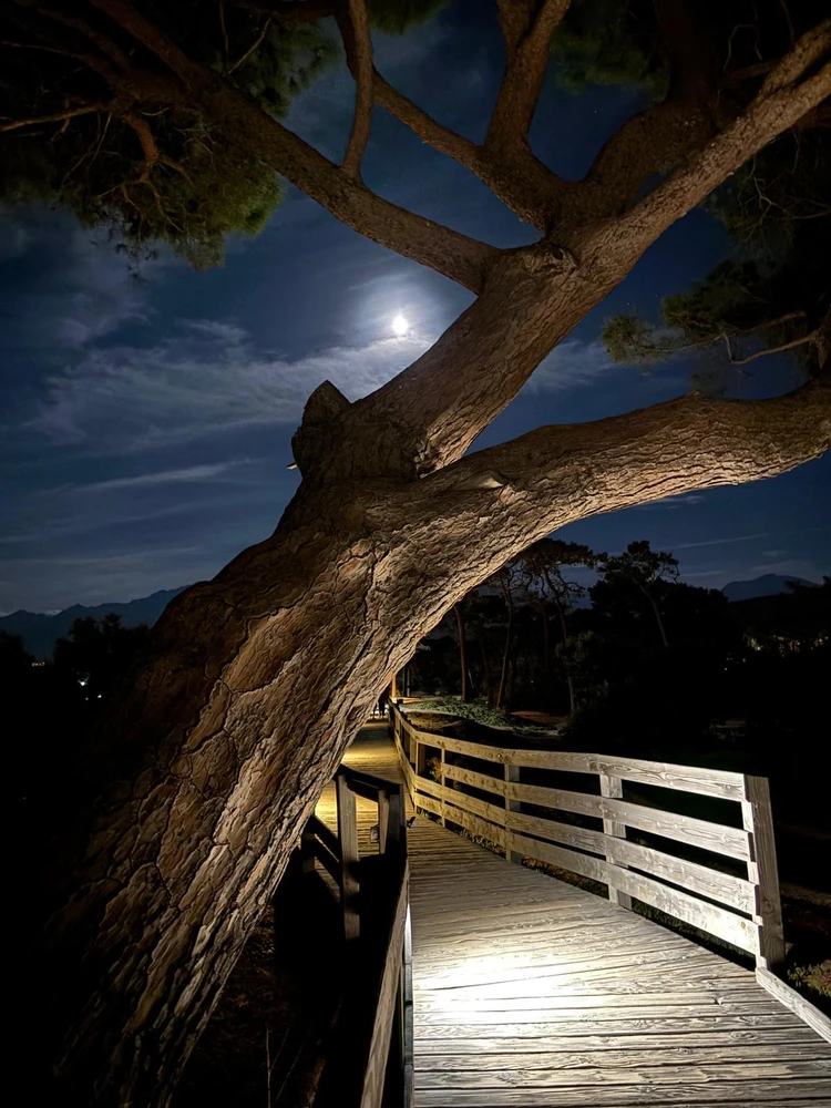 GIF uploaded by ℳℴ𝓇𝓃𝒾𝓃ℊ𝓈𝓉𝒶𝓇