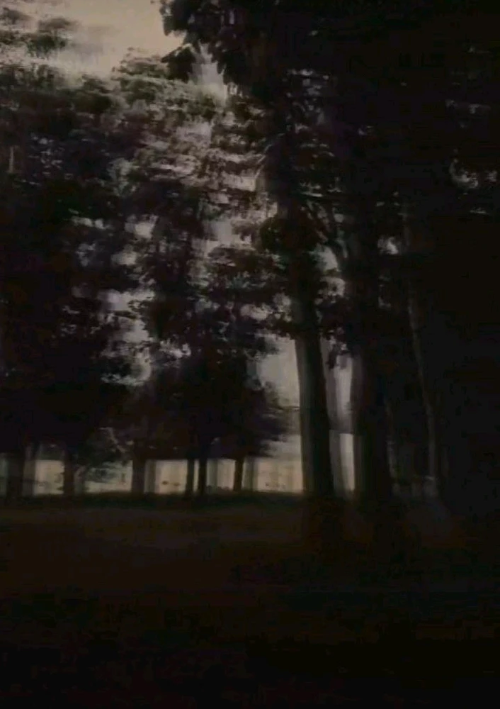 GIF yaikidwa ndi Maya
