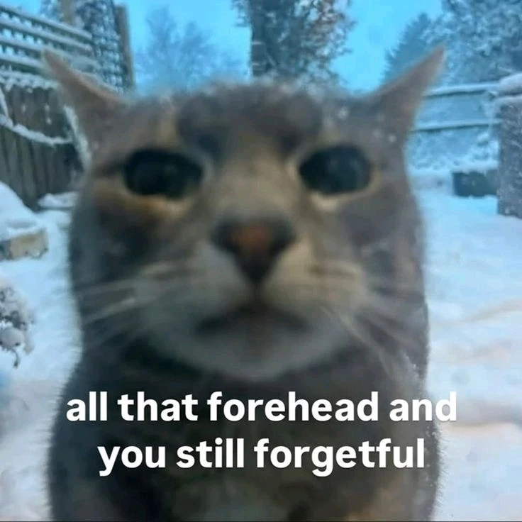 Rik يۈكلىگەن GIF